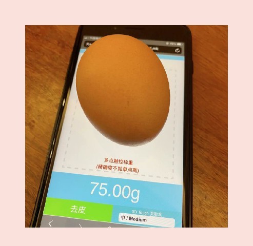 touchscale称重计
