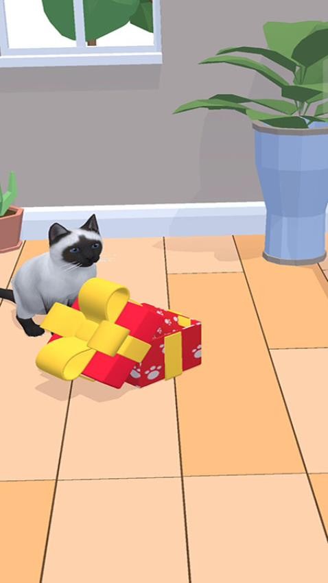 猫咪想恋爱 187.1.
