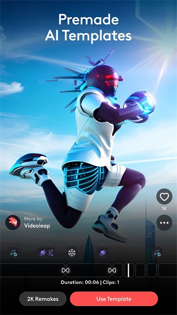 videoLeap