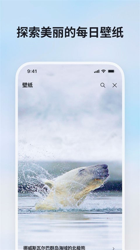 必应bing国内版