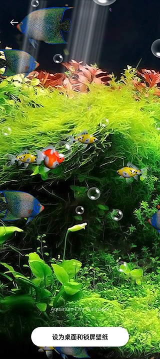 水族馆动态壁纸汉化版