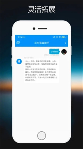 小布助手旧版