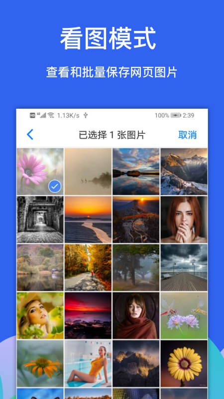 Alook浏览器旧版
