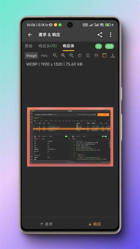 HttpCanary抓包软件