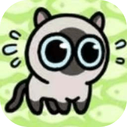 冒险猫  1