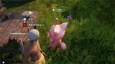 幻兽帕鲁怎么抚摸宠物？幻兽帕鲁抚摸宠物大全