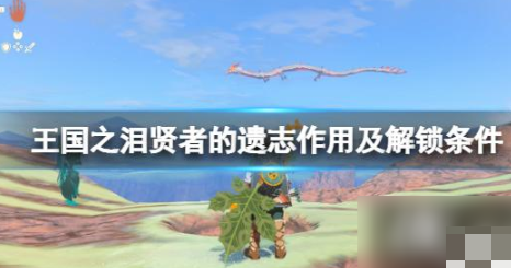 贤者的遗志作用及解锁条件攻略 《塞尔达传说王国之泪》贤者技能介绍