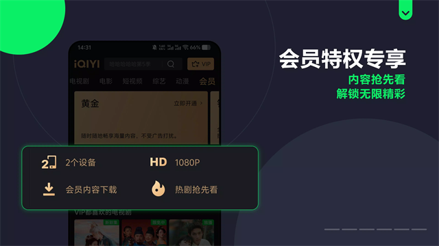Iqiyi国际版