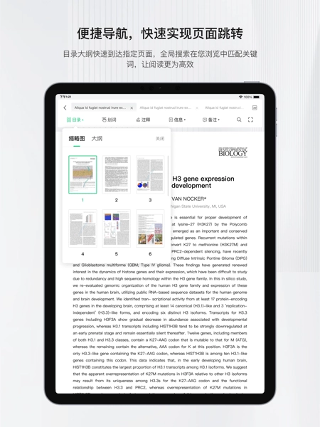 小绿鲸