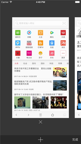 VIP浏览器老版本