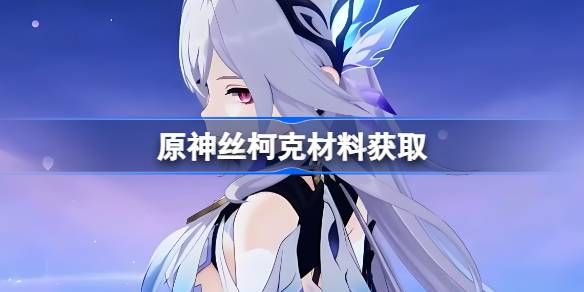 原神丝柯克材料在哪里获取