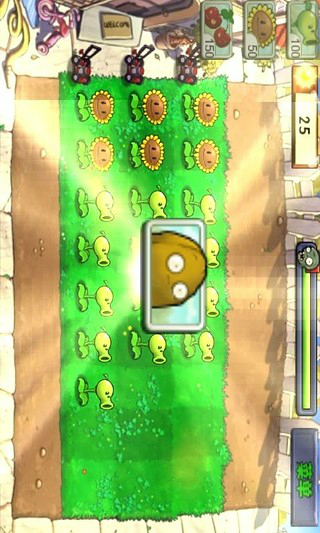 pvz北美安装  1.0