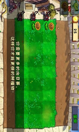 pvz北美安装  1.0