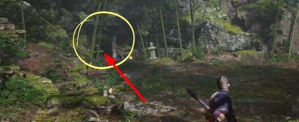 黑神话悟空落伽香藤怎么采集