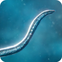 Bionix安装器  56.68