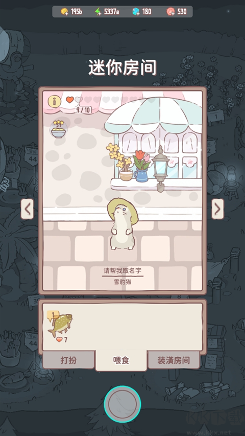猫咪和汤  4.20