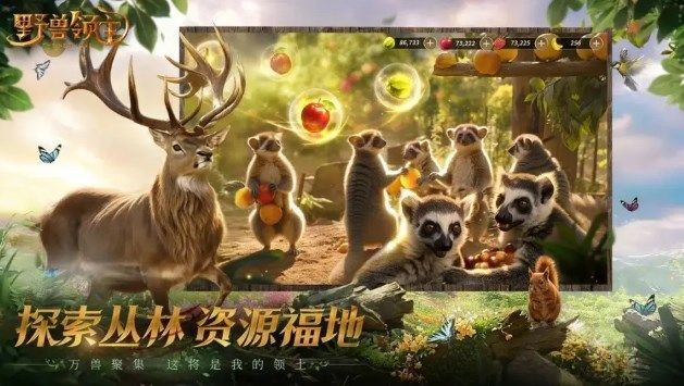 野兽领主新世界怎么玩