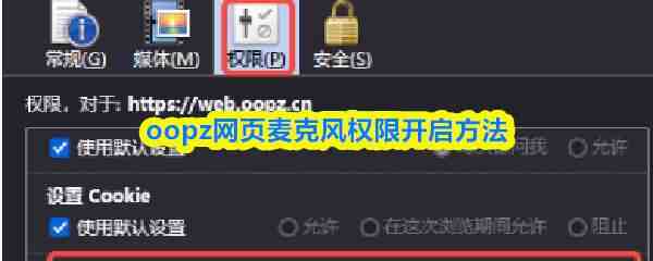  oopz网页麦克风权限开启方式