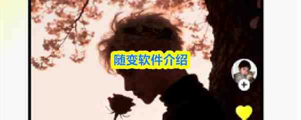  随变软件解析