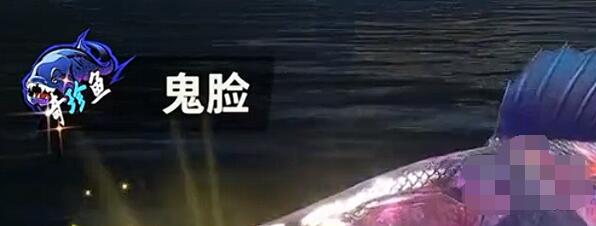 欢乐钓鱼大师稀有鱼排行榜