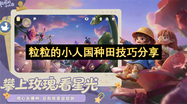  粒粒的小人国高效种田攻略新手种田技巧详解全流程分享