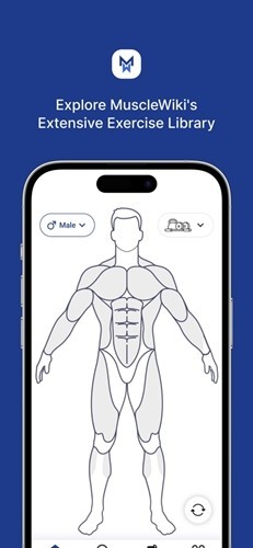 Musclewiki安卓版