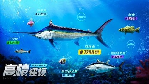 欢乐钓鱼大师攻略大全