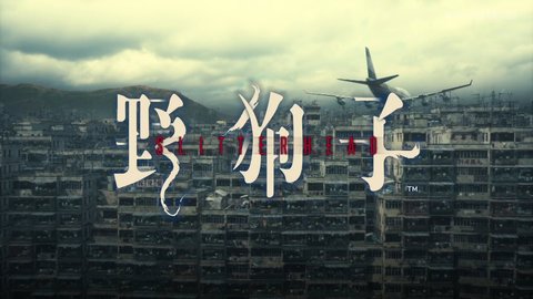 重要系统解析与战斗技巧分享  《野狗子》战斗系统教学
