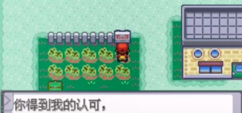 口袋妖怪无限大道攻略大全
