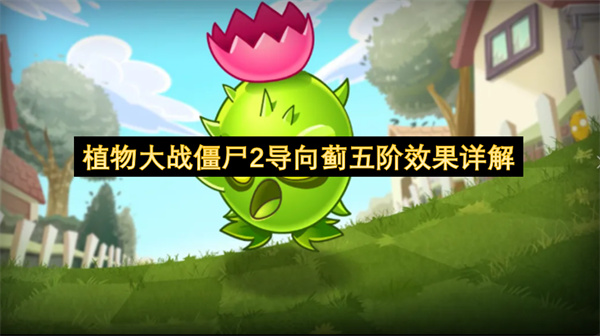  植物大战僵尸2五阶导向蓟效果技能详细解读攻略大全