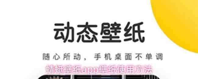  蜻蜓壁纸app壁纸使用方式