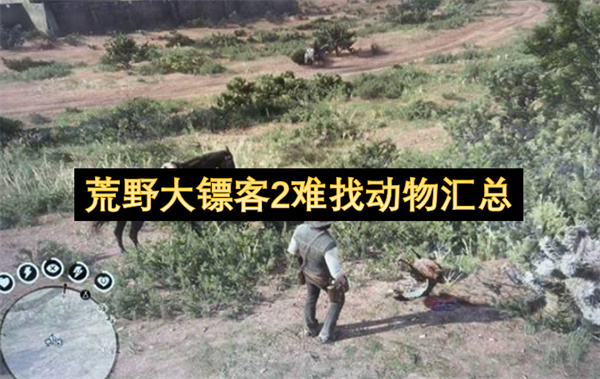  荒野大镖客2各类难找稀有动物刷新位置搜寻方法全分享