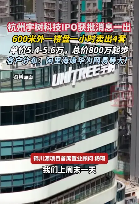 600米外楼盘1小时卖出4套 总价800万起步 宇树科技IPO获批消息一出