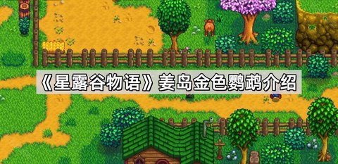 星露谷物语姜岛金色鹦鹉在哪 星露谷物语姜岛金色鹦鹉具体位置分享
