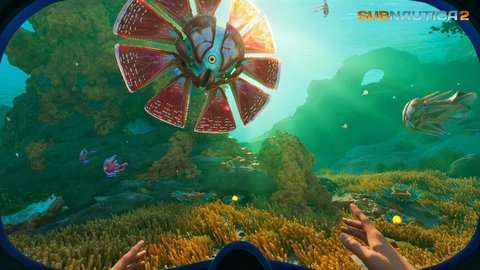 Unknown Worlds新作Subnautica 2公开最新信息Subnautica续集最新消息