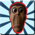 你迷路了  1.0