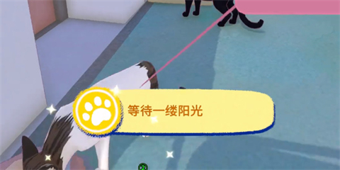 小猫咪大城市等待一缕阳光怎么做小猫咪大城市成就等待一缕阳光完成攻略