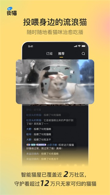 哈啰街猫
